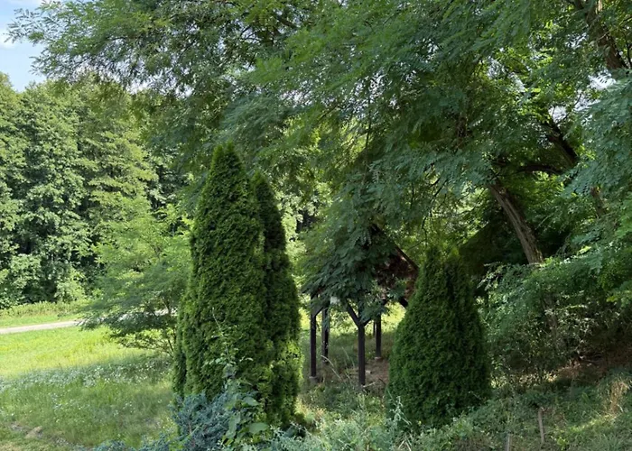 Kékhold *